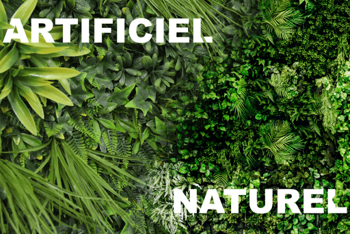 mur végétal naturel ou artificiel